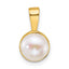 14k Polished 7-8mm Button White Freshwater Cultured Pearl Pendant