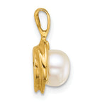 14k Polished 6-7mm Button White Freshwater Cultured Pearl Pendant