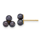 14k Polished 3-4mm Button Black Freshwater Cultured 3-Pearl Post Earrings