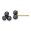 14k Polished 3-4mm Button Black Freshwater Cultured 3-Pearl Post Earrings