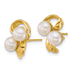 14k Polished 5-6mm Button White Freshwater Cultured 2-Pearl Post Earrings