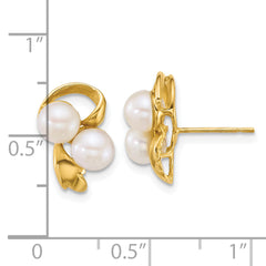 14k Polished 5-6mm Button White Freshwater Cultured 2-Pearl Post Earrings