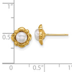 14k Polished 4-5mm Button White Freshwater Cultured Pearl Post Earrings