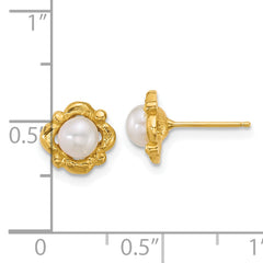 14k Polished and Textured 4-5mm Button White Freshwater Cultured Pearl Post Earrings