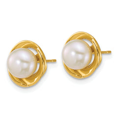 14k Polished 6-7mm Button White Freshwater Cultured Pearl Post Earrings