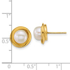 14k Polished 6-7mm Button White Freshwater Cultured Pearl Post Earrings