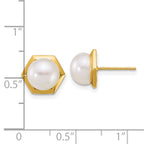 14k Polished 7-8mm Button White Freshwater Cultured Pearl Hexagon Post Earrings