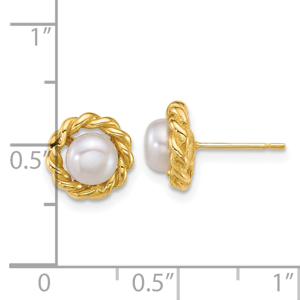 14k Polished 5-6mm Button White Freshwater Cultured Pearl Twisted Edge Post Earrings