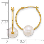 14k Polished 7-8mm Semi-Round White Freshwater Cultured Pearl Hoop Earrings