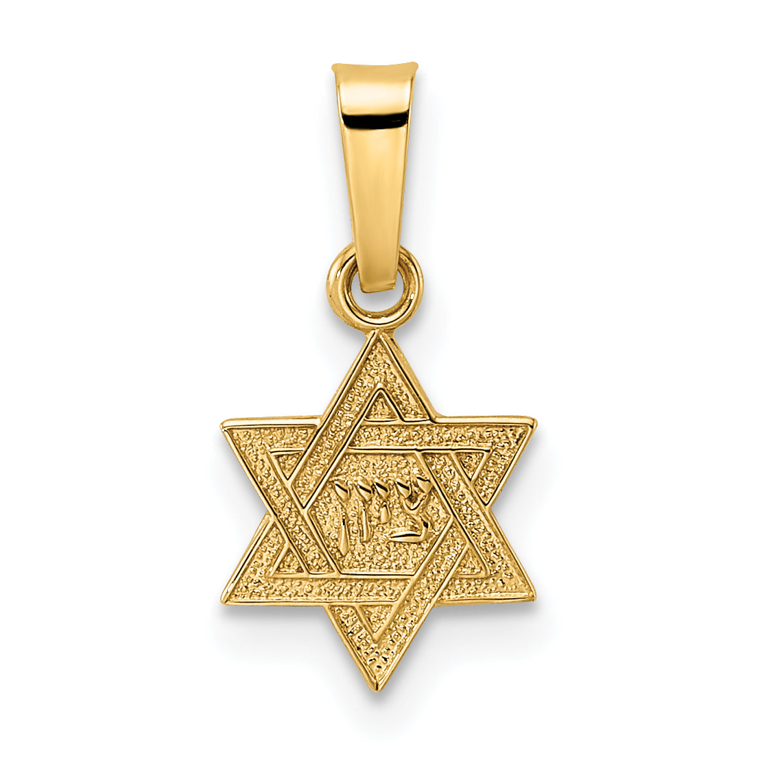 14k Polished & Textured Solid Star of David Pendant Main image