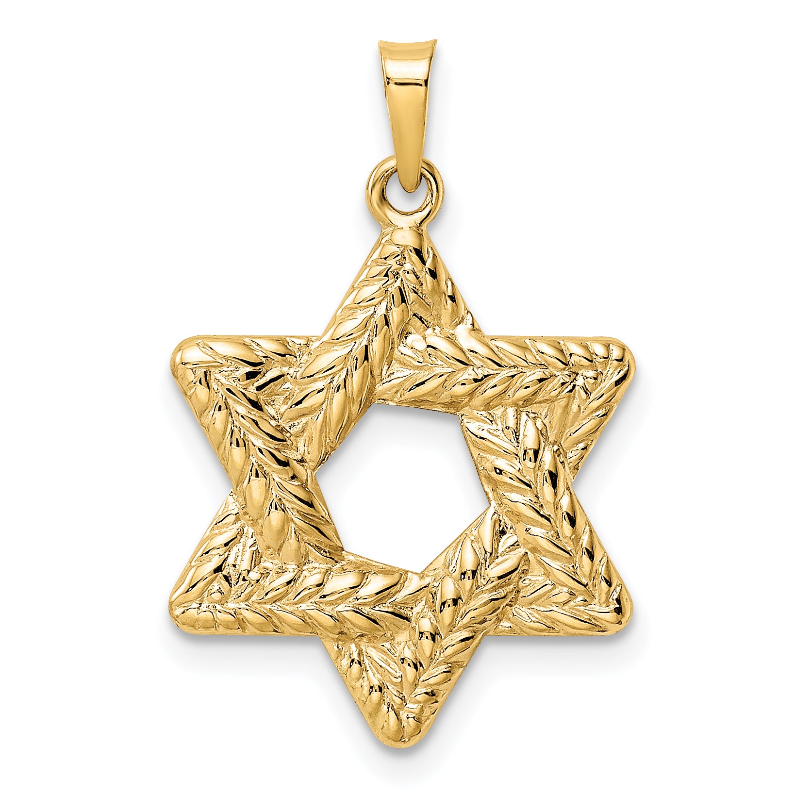 14k Polished and Textured Solid Star of David Pendant Main image