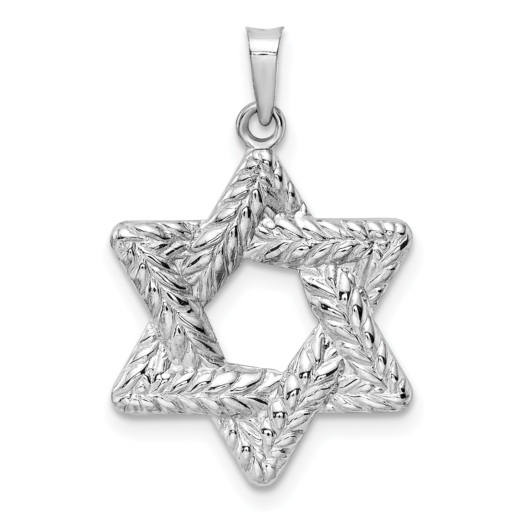 14k White Gold Polished and Textured Solid Star of David Pendant Main image