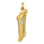 14k Two-tone Hollow Mezuzah and Star Pendant