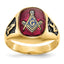 14k Men's Polished and Textured with Black Enamel and Lab Created Ruby Masonic Ring