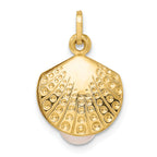 14k Polished with Freshwater Cultured Pearl Clam Pendant