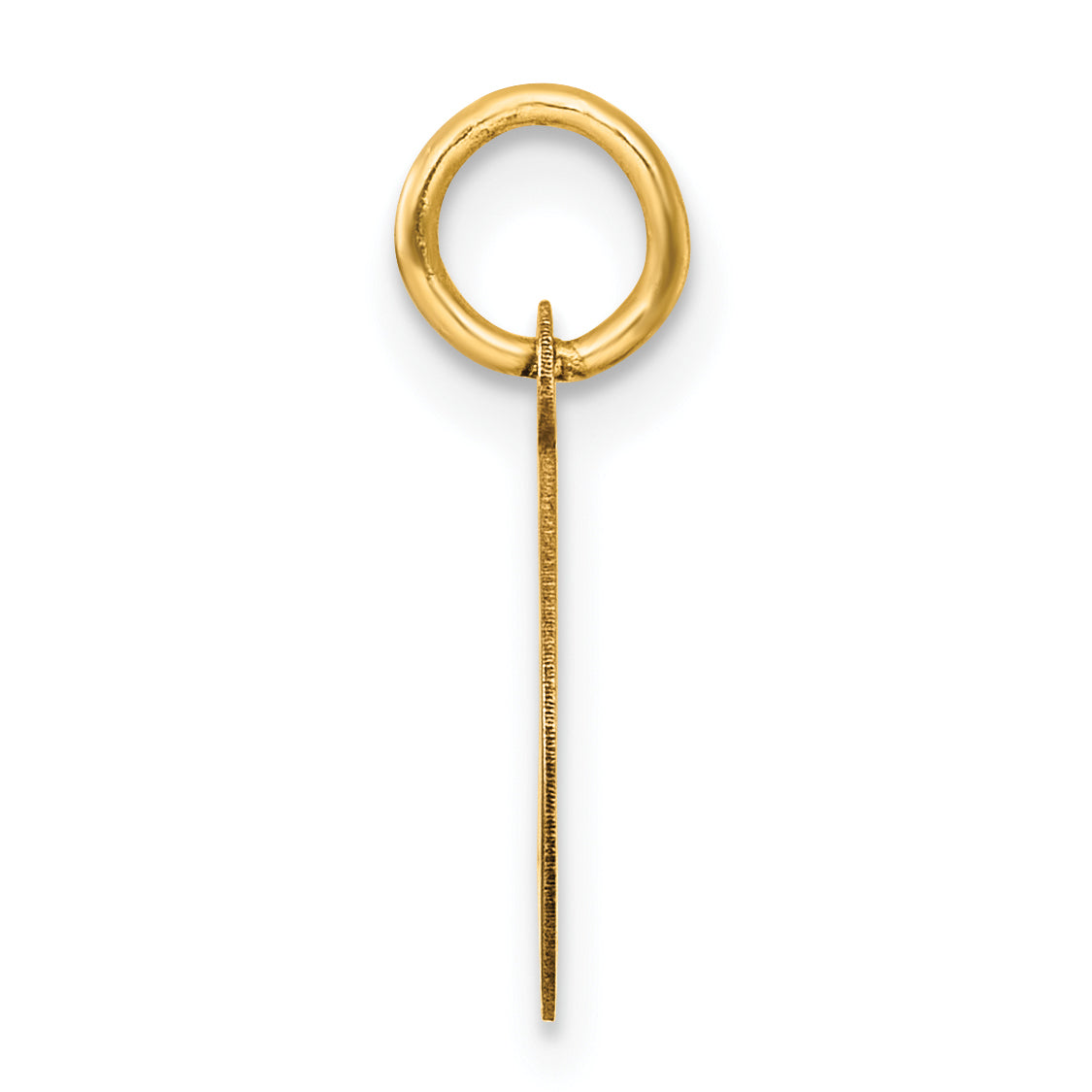 14k Polished Oval CLASS OF 2026 Charm Secondary image