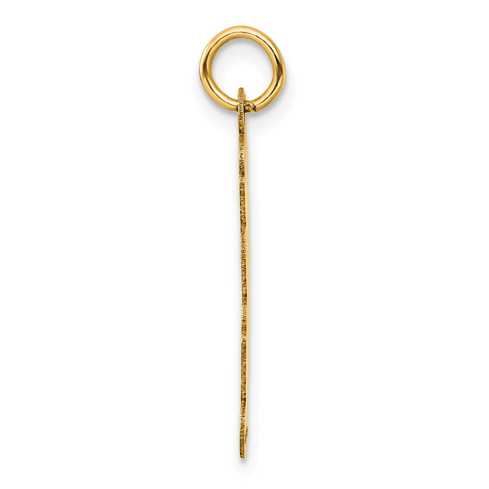 14K Polished and Satin Vertical 2025 Charm Secondary image