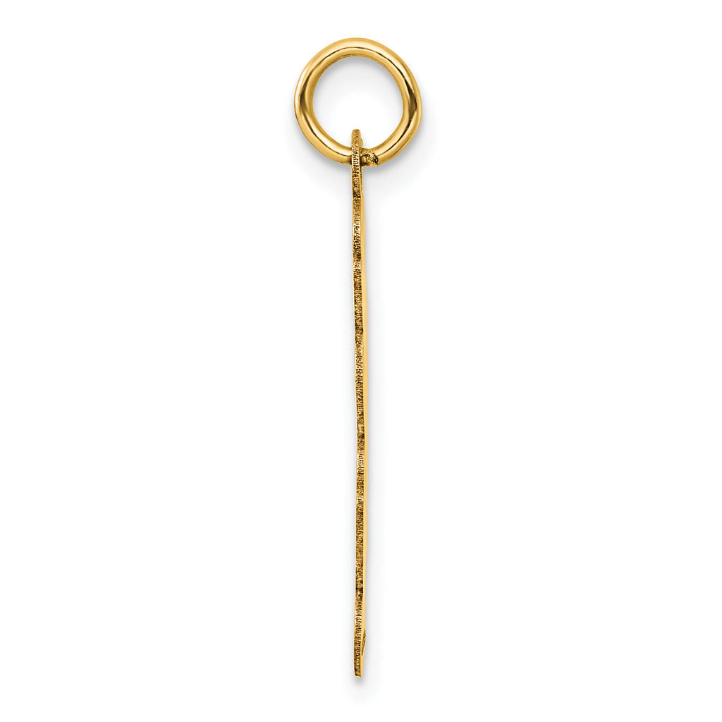 14K Polished and Satin Vertical 2025 Charm