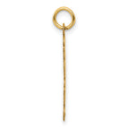 14K Polished and Satin Vertical 2025 Charm