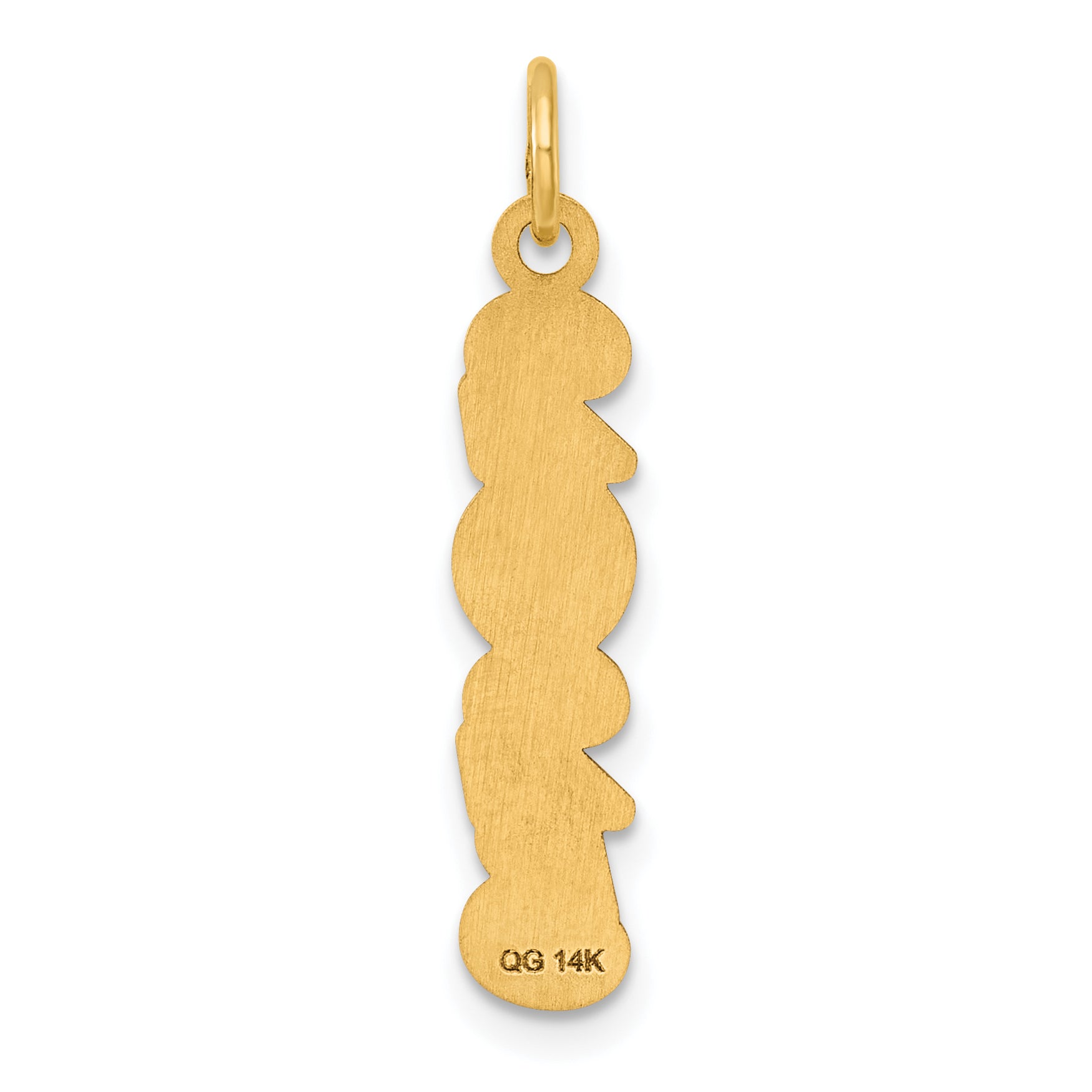 14K Polished and Satin Vertical 2025 Charm