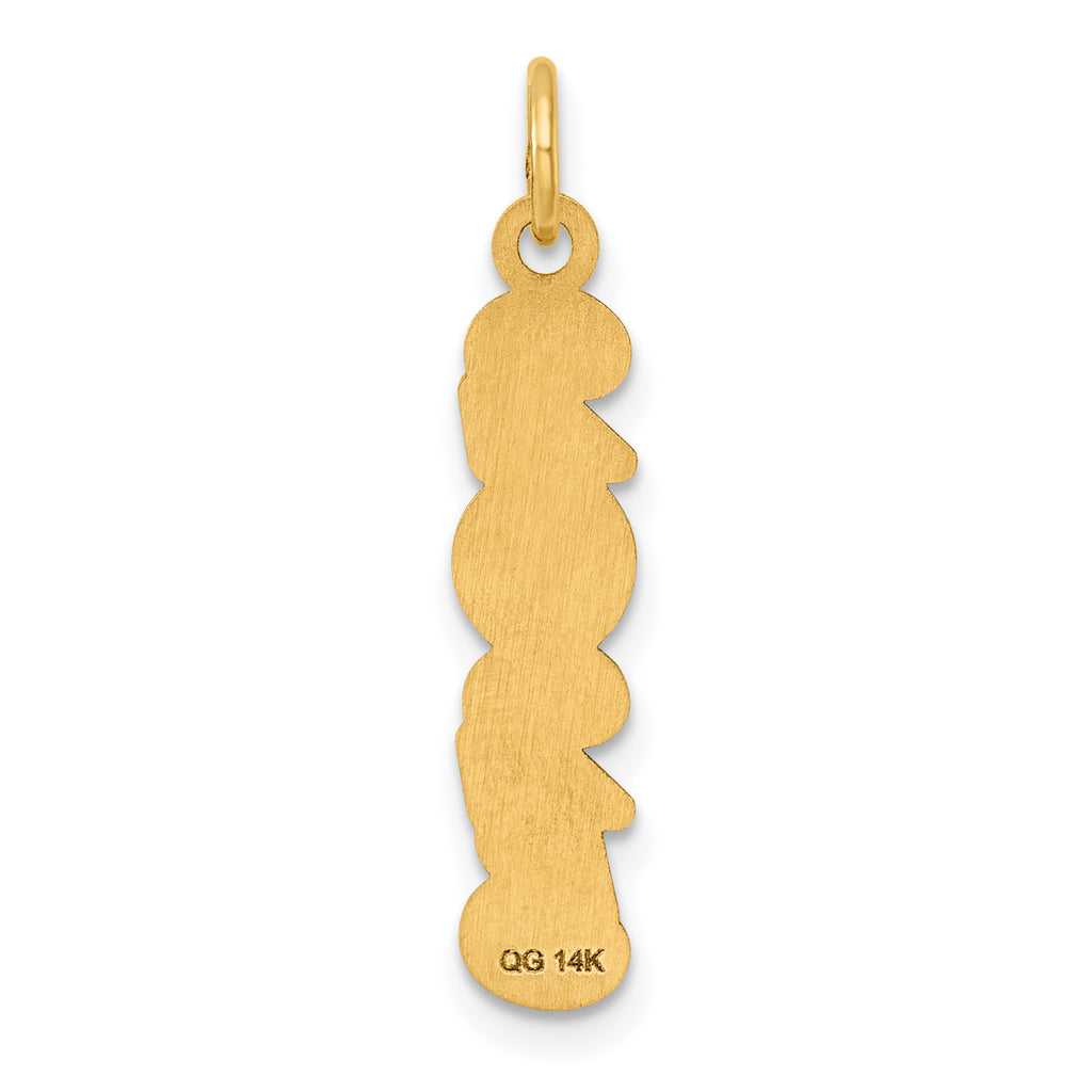 14K Polished and Satin Vertical 2025 Charm