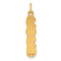 14K Polished and Satin Vertical 2026 Charm