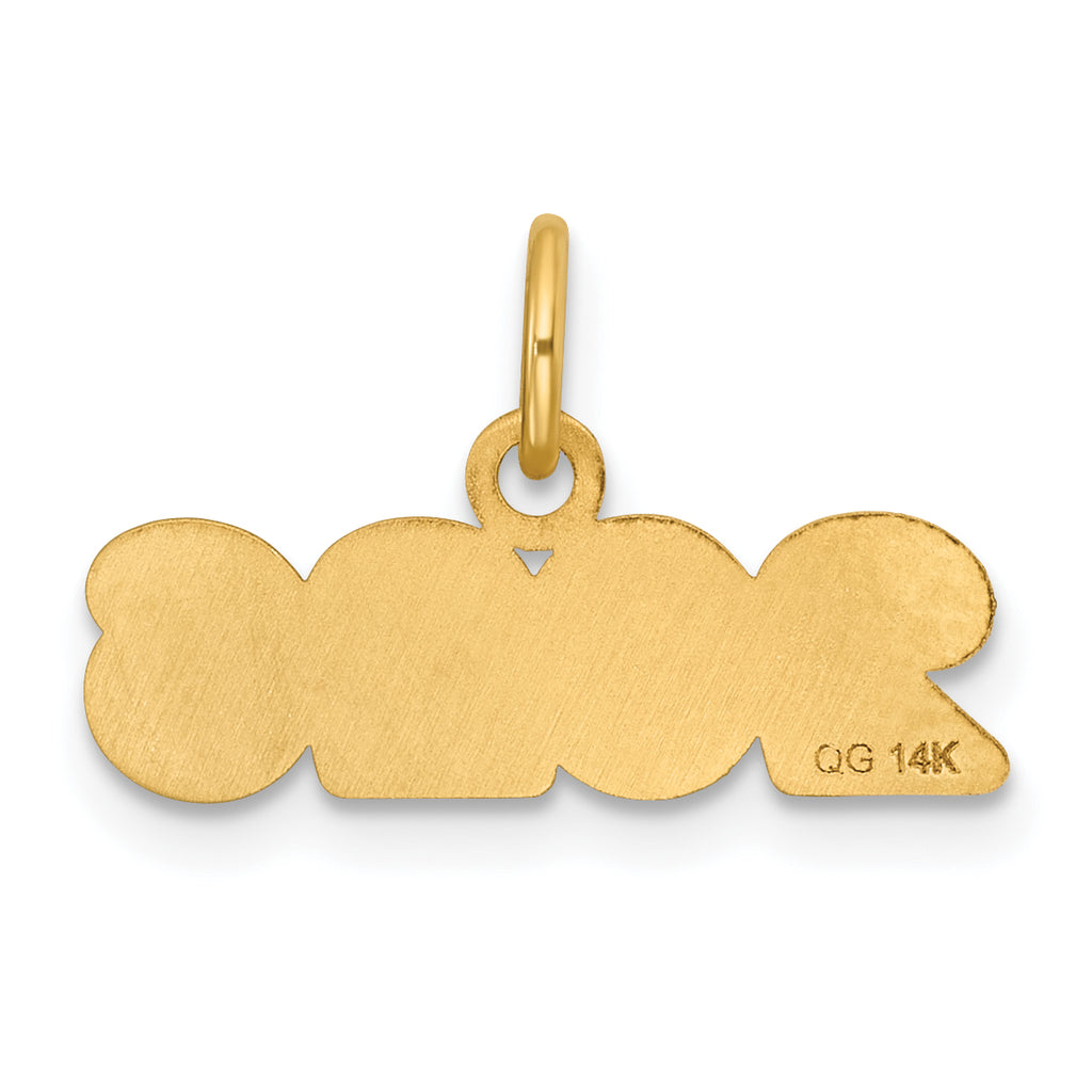 14k Polished and Satin Horizontal 2026 Charm
