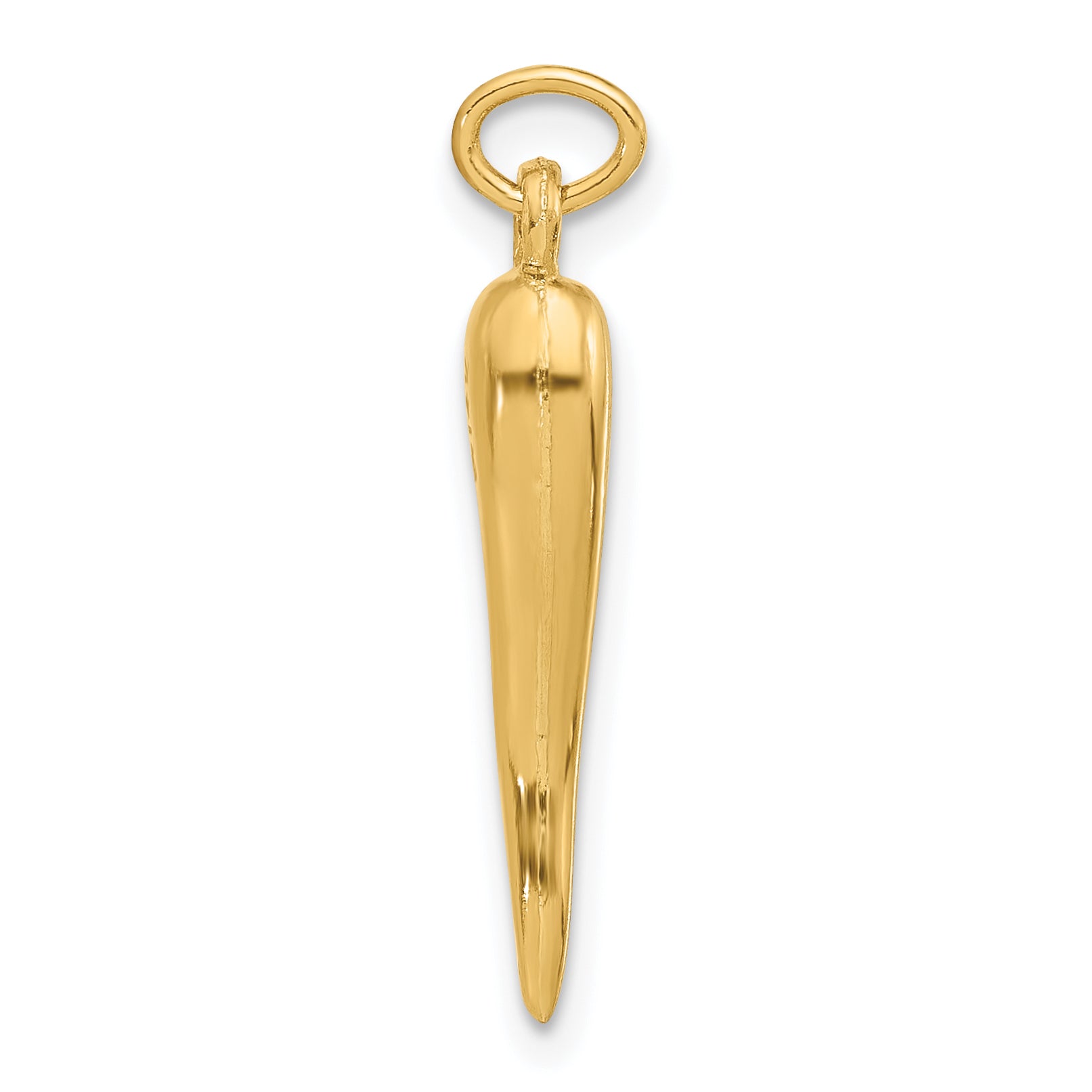 14k Polished Hollow Italian Horn Pendant Secondary image