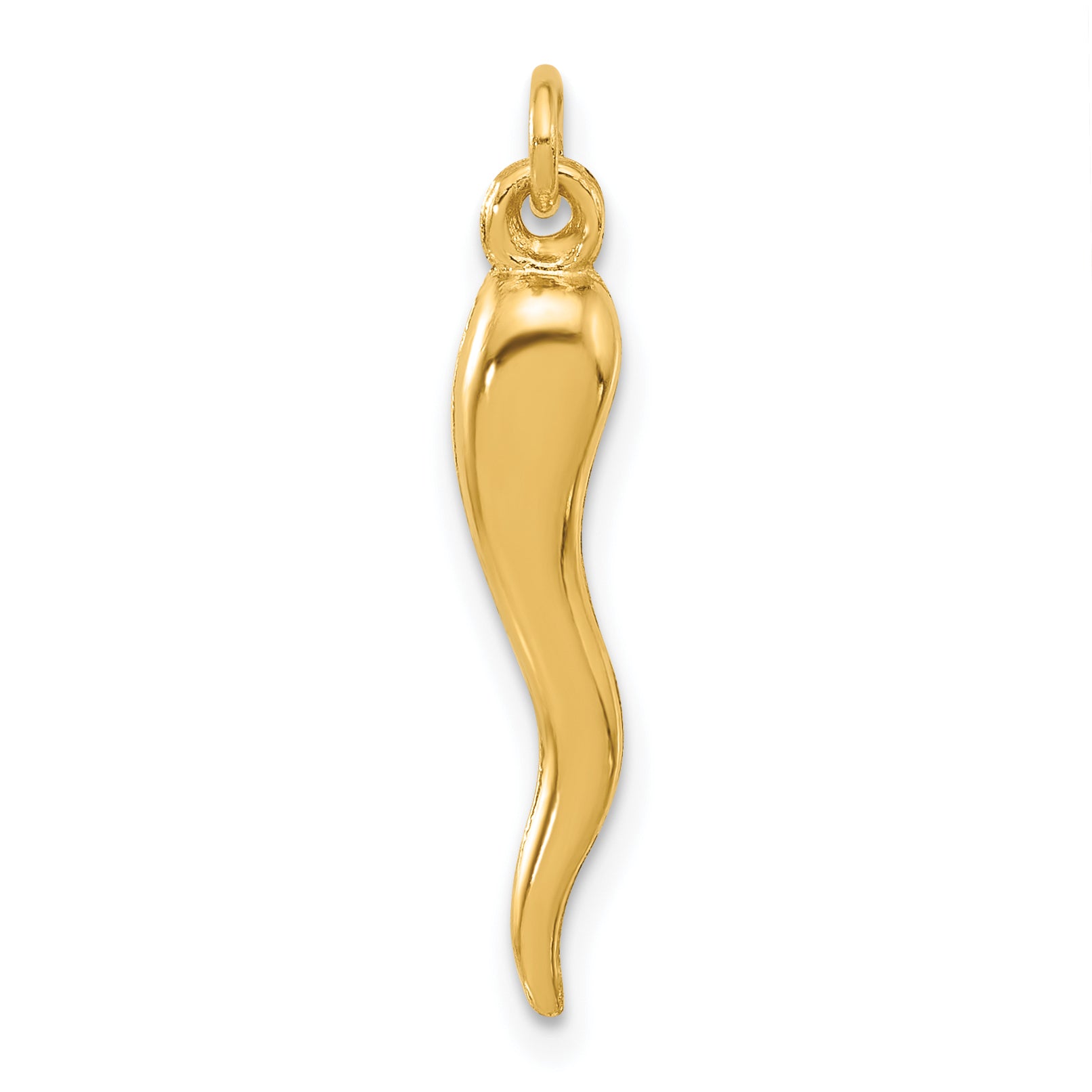 14k Polished Hollow Italian Horn Pendant Main image