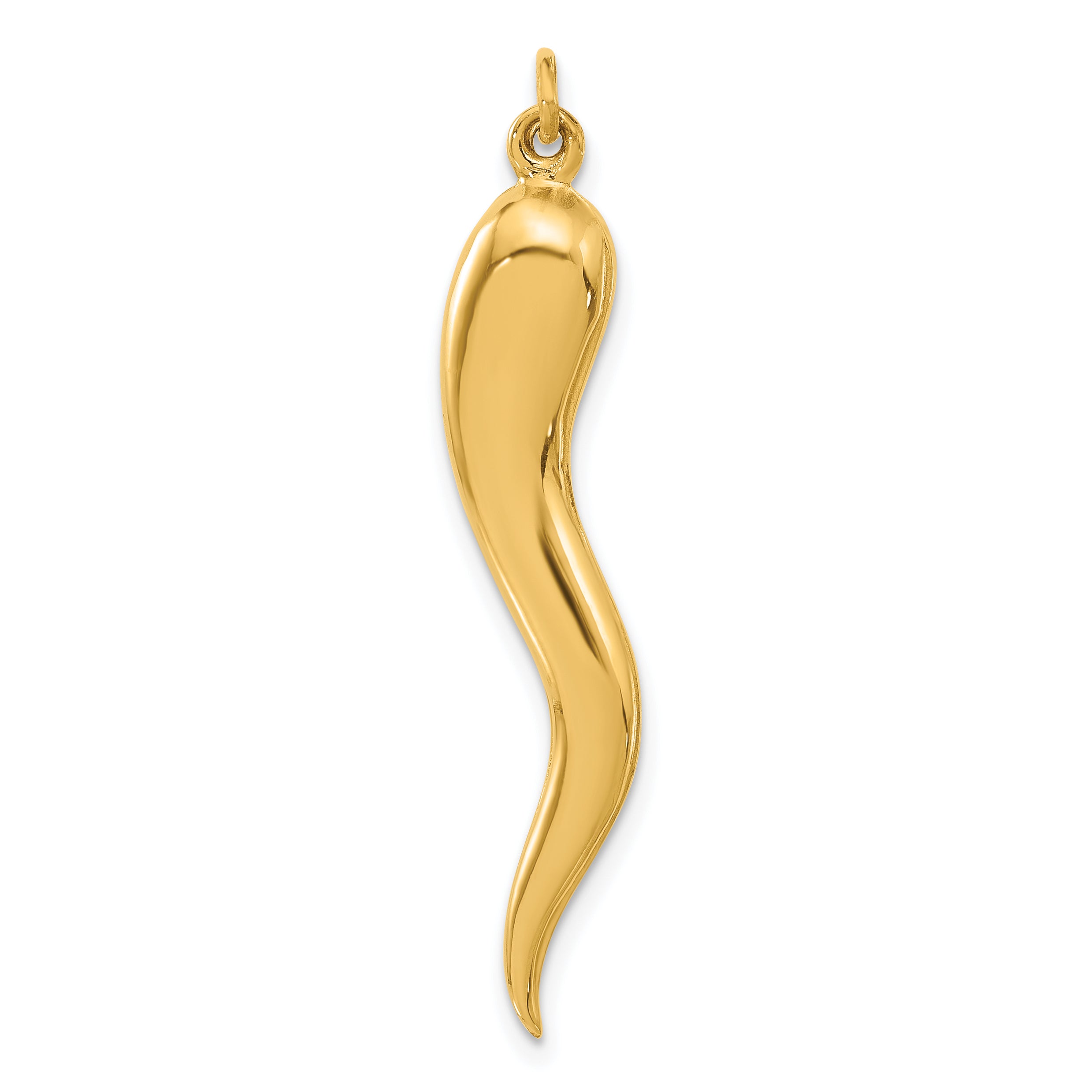14k Polished Hollow Italian Horn Pendant Main image