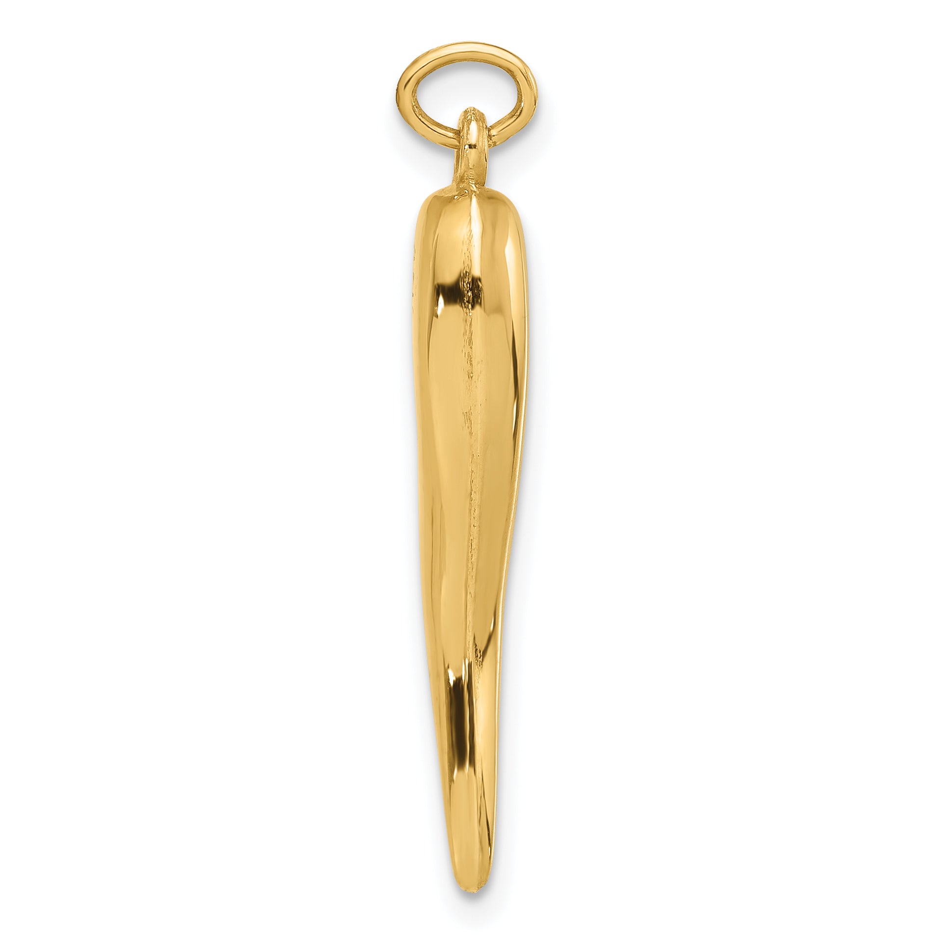 14k Polished Hollow Italian Horn Pendant Secondary image