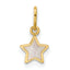 14K Polished Mother of Pearl Star Pendant