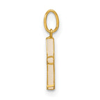 14K Polished Mother of Pearl Star Pendant