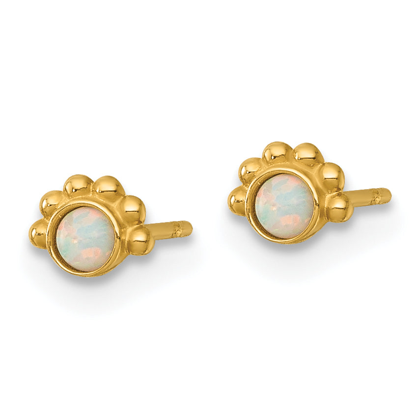 14k Polished and Beaded Lab Created Opal Post Earrings Secondary image