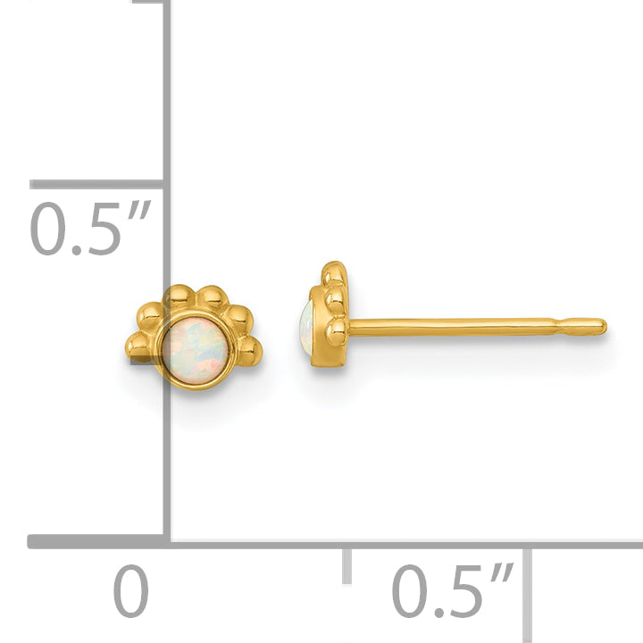 14k Polished and Beaded Lab Created Opal Post Earrings