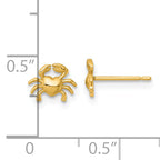 14k Polished Crab Post Earrings
