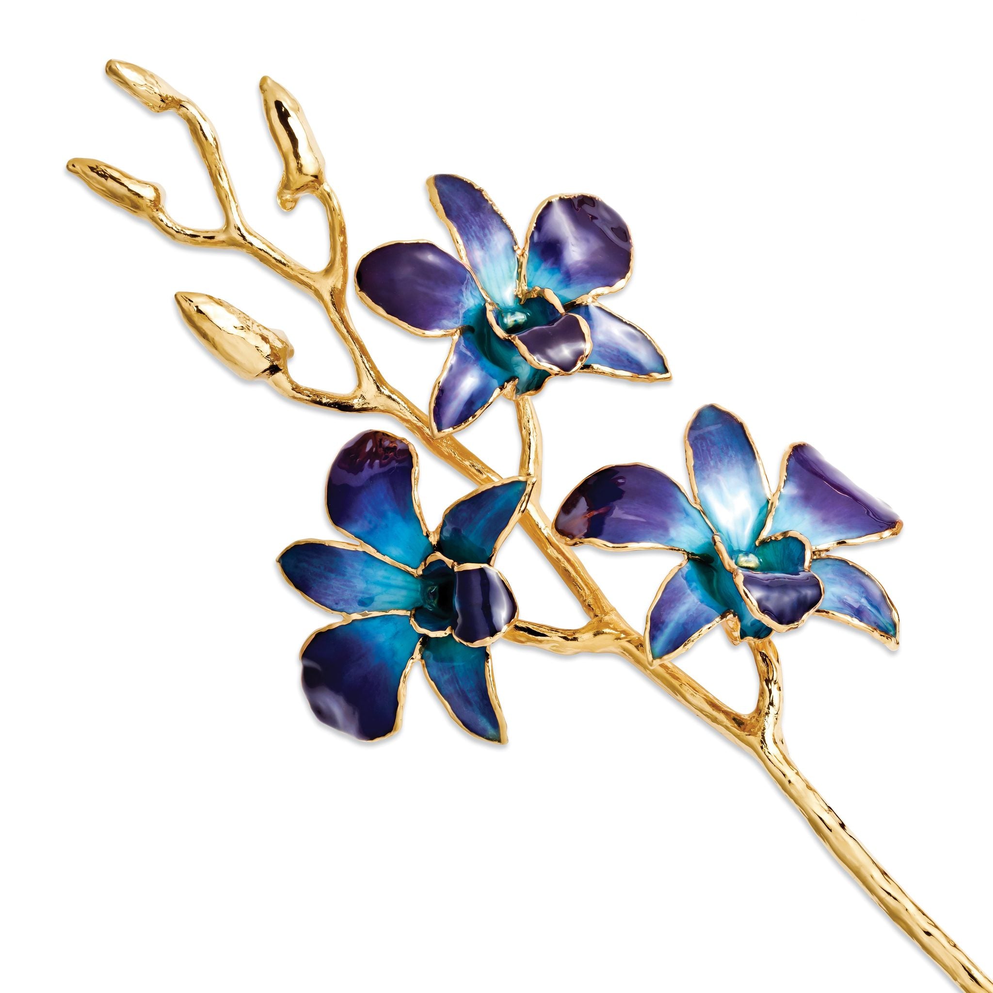 Lacquer Dipped Gold Trimmed Purple/Blue Real Orchid Stem Main image