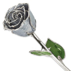 Silver Moonstone Lacquer Dipped Silver Trimmed Real Rose