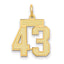 14K Gold Small Satin Number 43 Charm with Brushed Finish