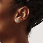 Titanium Brushed Blue Turquoise Stud Earrings