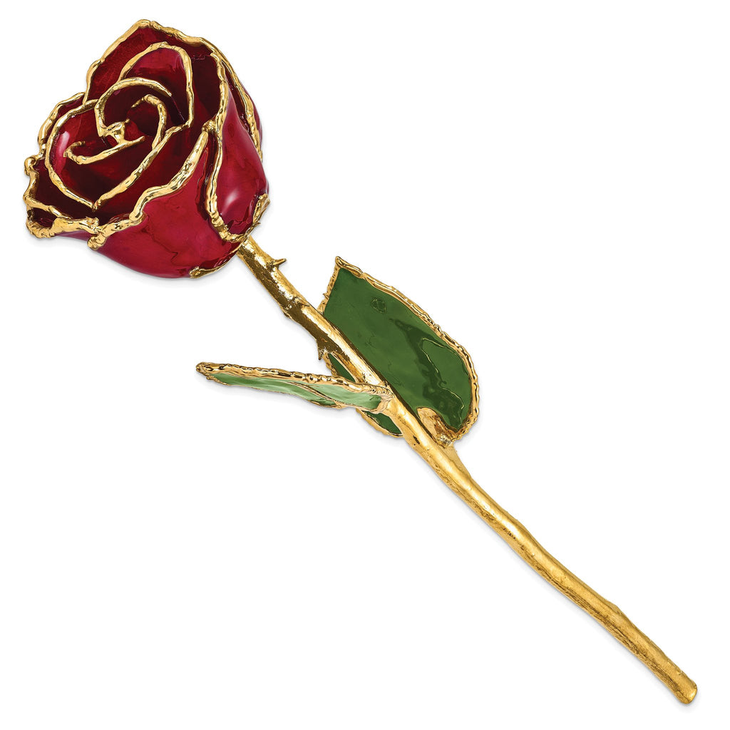 Lacquer Dipped Gold Trimmed Burgundy Real Rose
