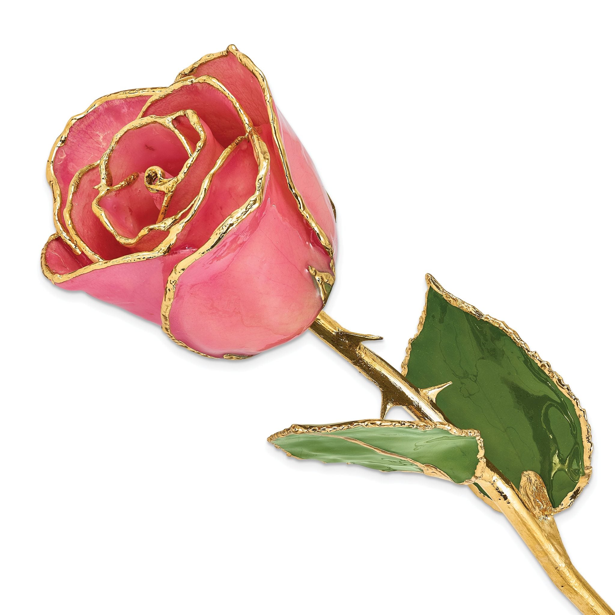 Lacquer Dipped Gold Trimmed Pink Real Rose Main image