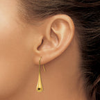 Stainless Steel Gold-Tone Polished Drop Dangle Earrings for Women