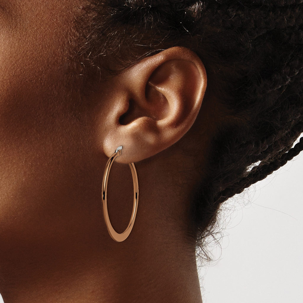 Stainless Steel Brown Polished Hoop Earrings for Women