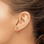 Titanium Rose Gold-Tone Brushed Heart Button Earrings for Women