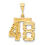 14K Gold Diamond-Cut Number 48 Charm in Polished Yellow Finish