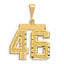 14K Gold Large Diamond-Cut Number 46 Charm with Brushed Finish