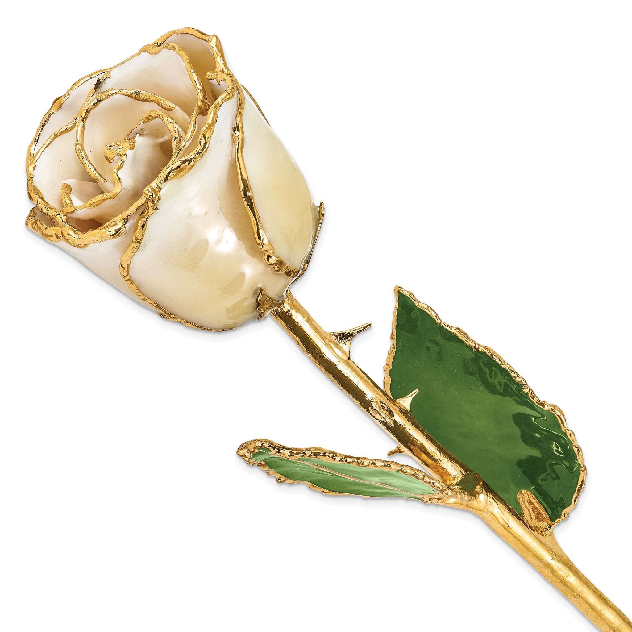 Lacquer Dipped Gold Trimmedmed Cream/White Real Rose Main image