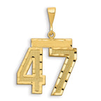14K Gold Diamond-Cut Number 47 Large Charm with Brushed Finish