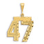 14K Gold Diamond-Cut Number 47 Large Charm with Brushed Finish